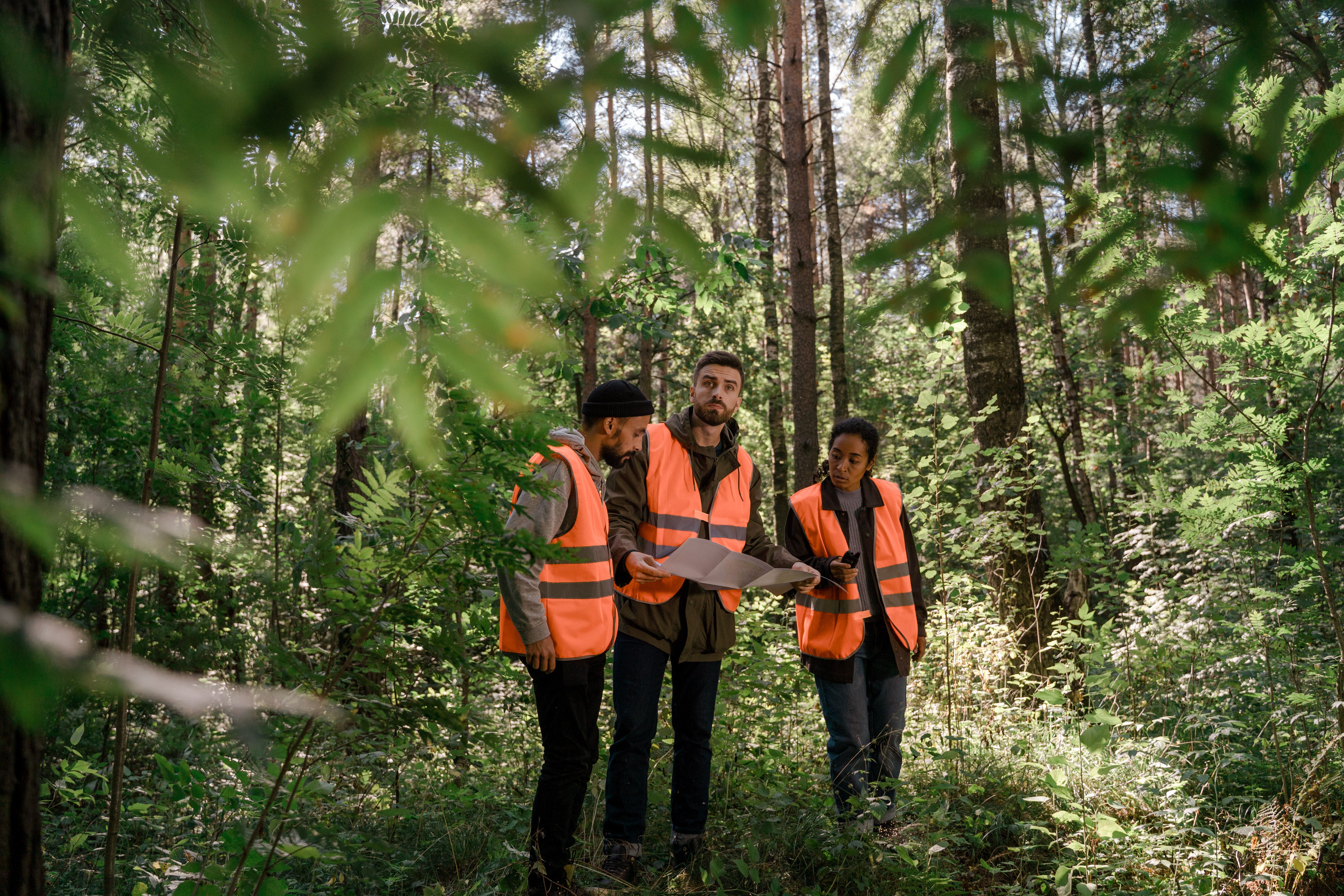 Environmental Consultancy